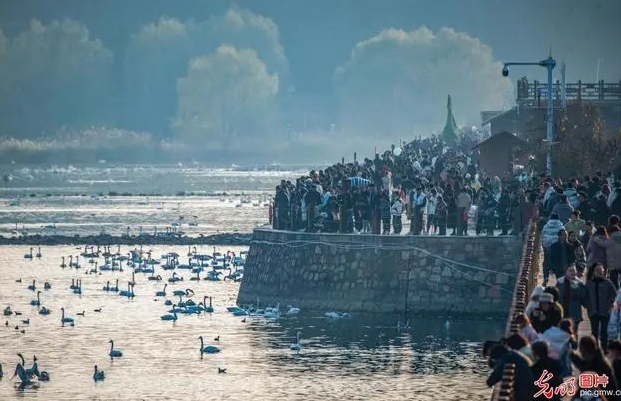 微信截图_20231128151857.png 微信截图_20231128151857.png