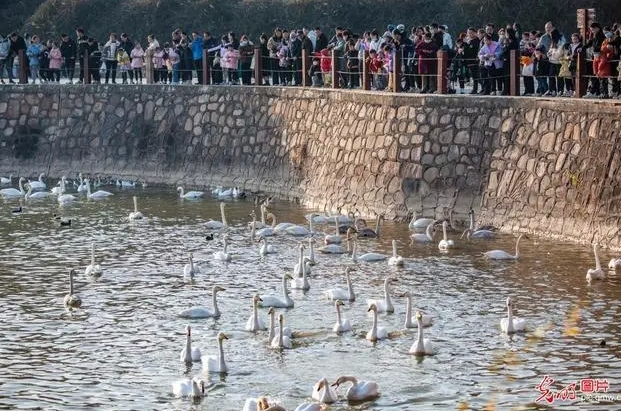 微信截图_20231128151908.png 微信截图_20231128151908.png