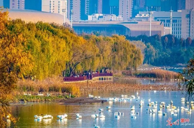 微信截图_20231128151846.png 微信截图_20231128151846.png