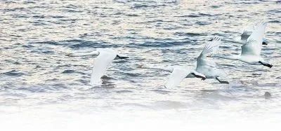 640 (1).jpg 640 (1).jpg