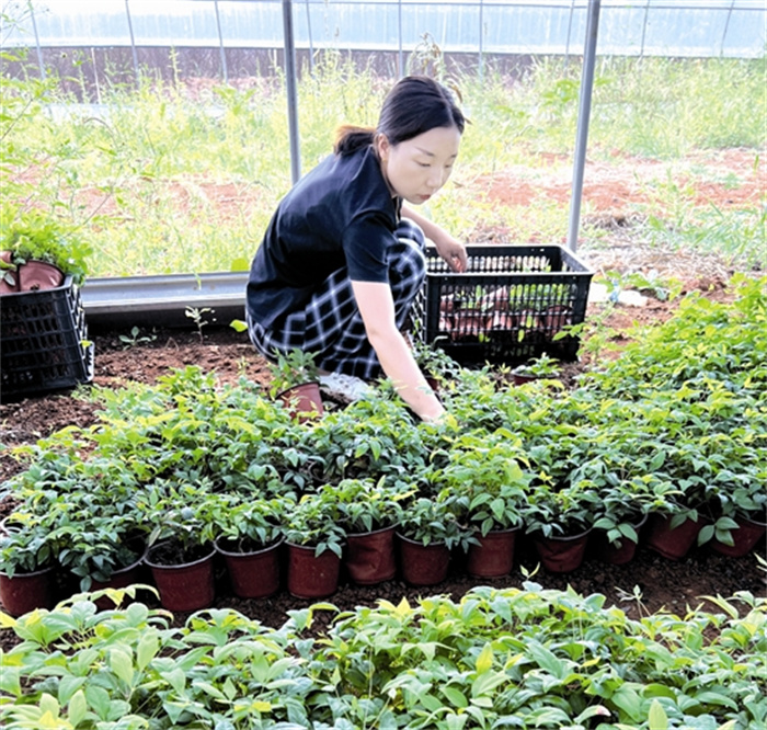 huxp4848_b.jpg huxp4848_b.jpg