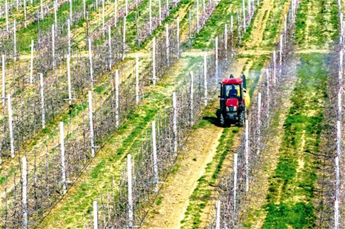 fangmy53372_b.jpg fangmy53372_b.jpg