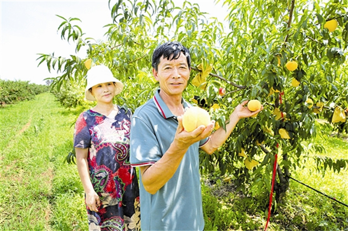 aihz5747_b.jpg aihz5747_b.jpg