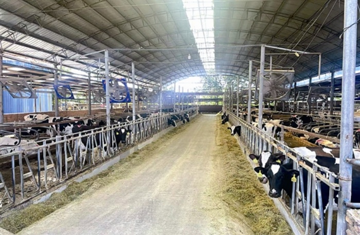 fangmy5c95_b.jpg fangmy5c95_b.jpg