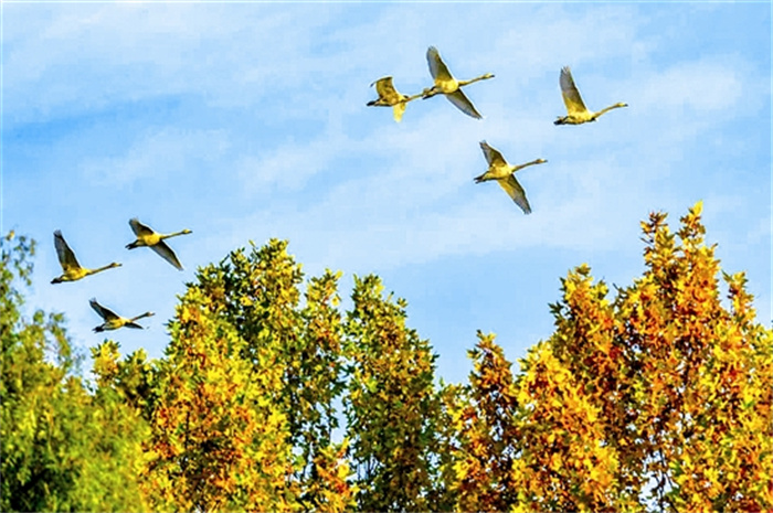 lujj5b15_b.jpg lujj5b15_b.jpg