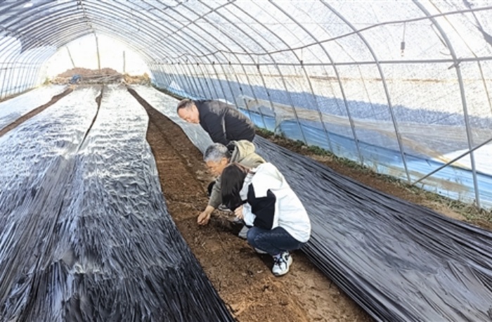 aihz5c66_b.jpg aihz5c66_b.jpg