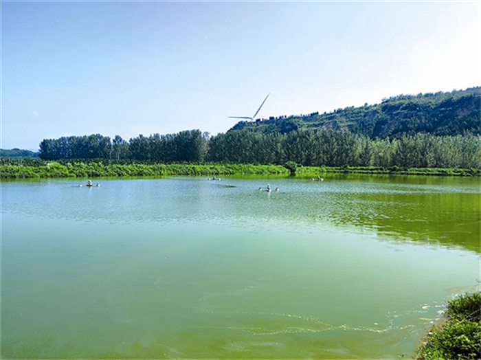 fangmy5c240_b.jpg fangmy5c240_b.jpg