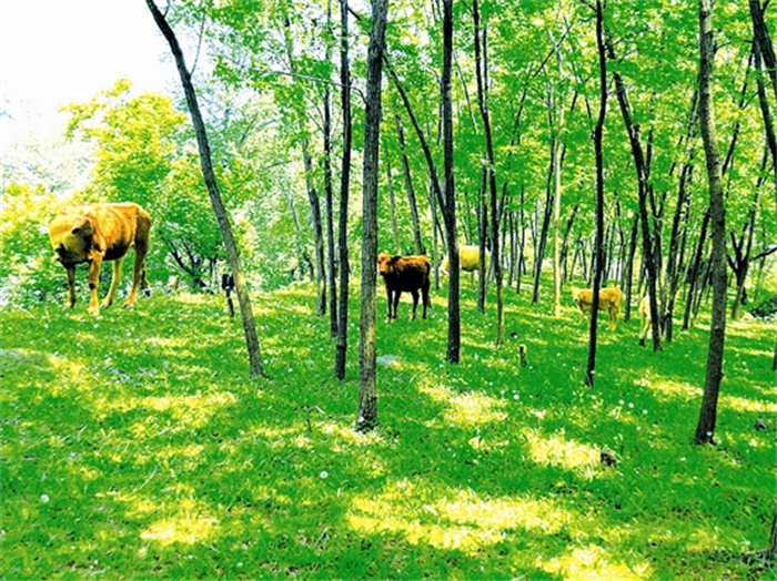 rent5c79_b.jpg rent5c79_b.jpg