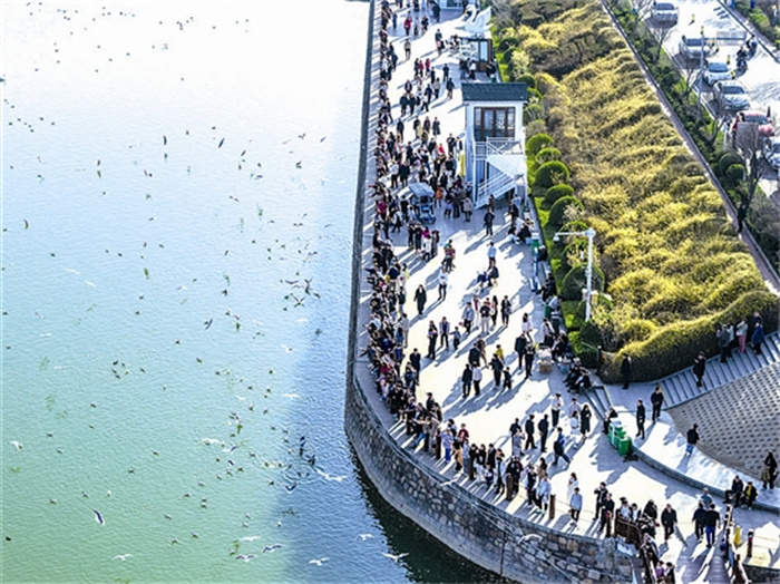 rent62212_b.jpg rent62212_b.jpg