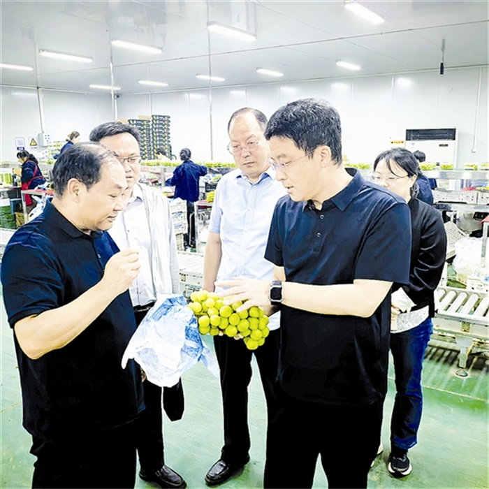 mengj69195_b.jpg mengj69195_b.jpg