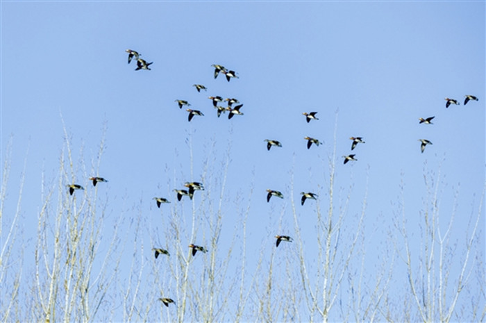 lujj32115_b.jpg lujj32115_b.jpg