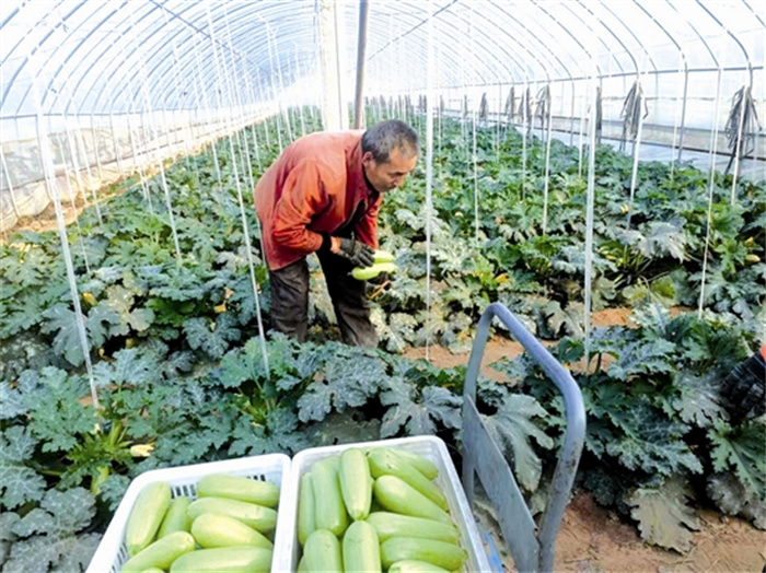 aihz32126_b.jpg aihz32126_b.jpg