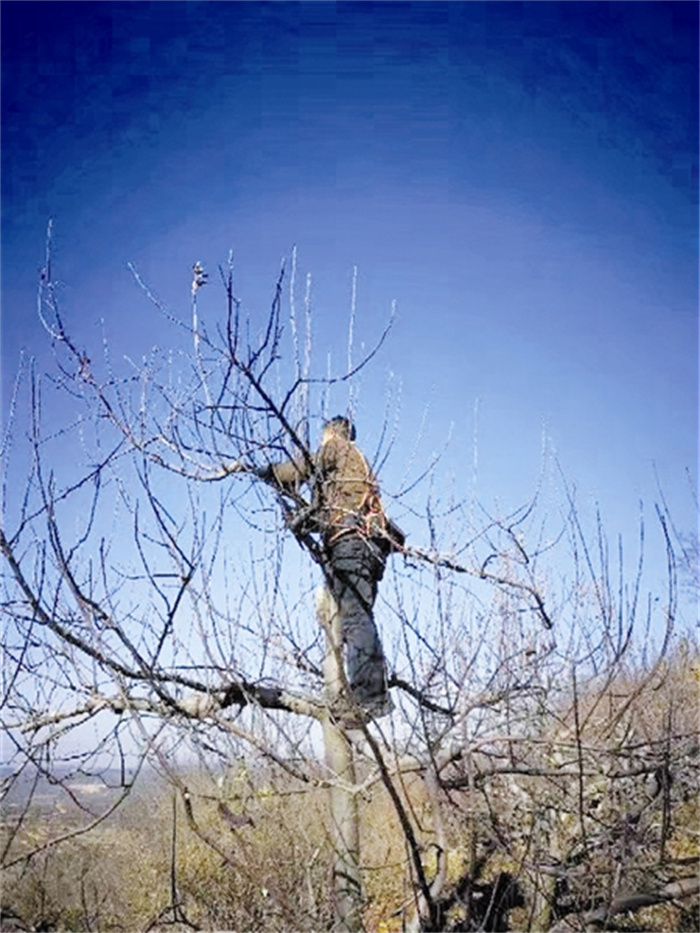 fangmy32122_b.jpg fangmy32122_b.jpg