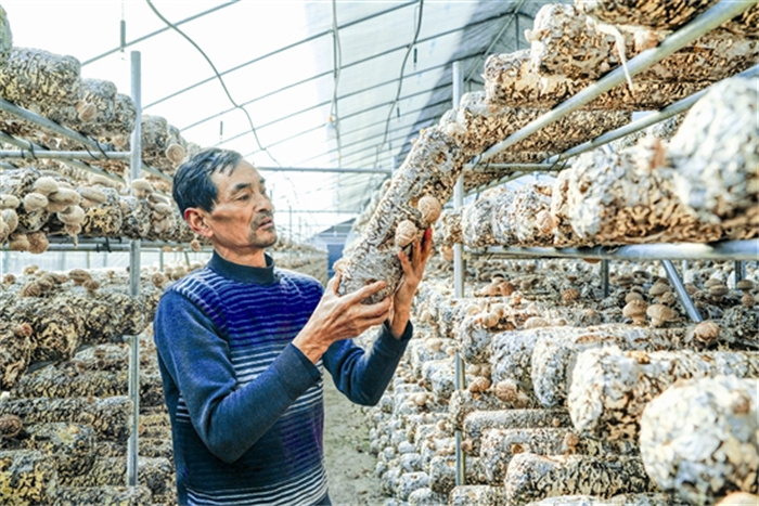 rent32252_b.jpg rent32252_b.jpg