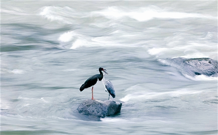 wangdd3739_b.jpg wangdd3739_b.jpg