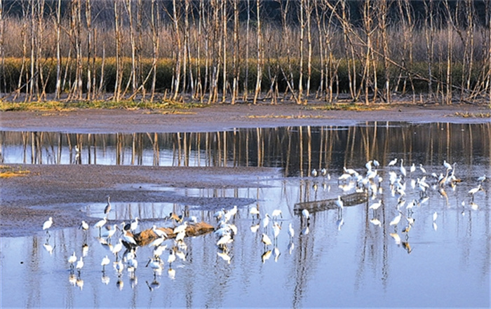 wangdd3a95_b.jpg wangdd3a95_b.jpg