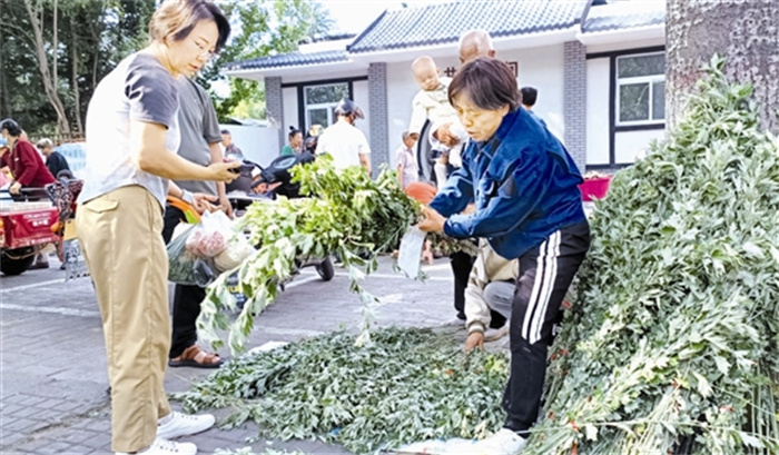 wangdd46102_b.jpg wangdd46102_b.jpg