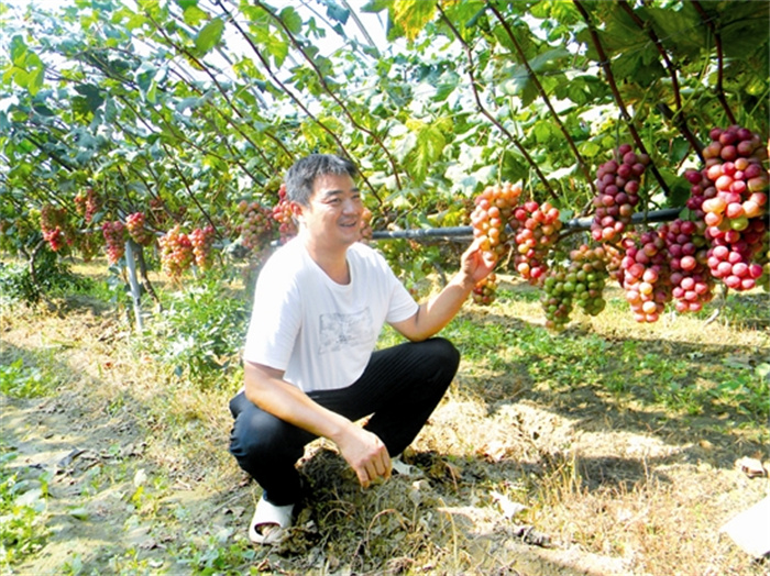 liujh49212_b.jpg liujh49212_b.jpg