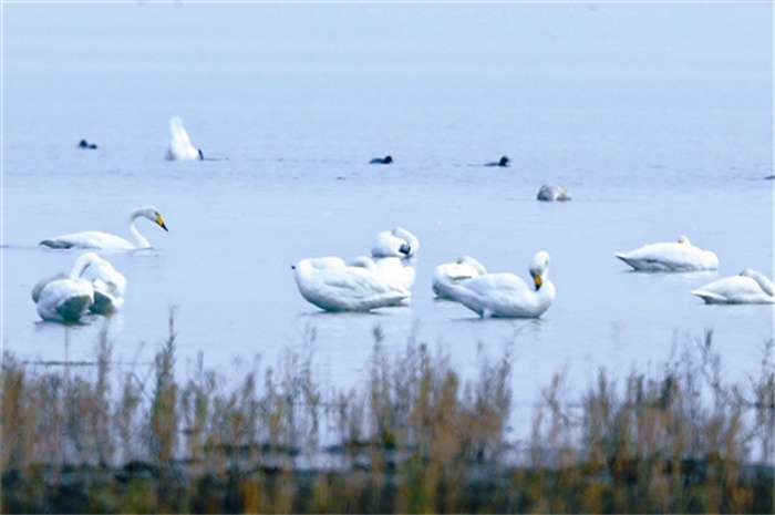 rent4b18_b.jpg rent4b18_b.jpg