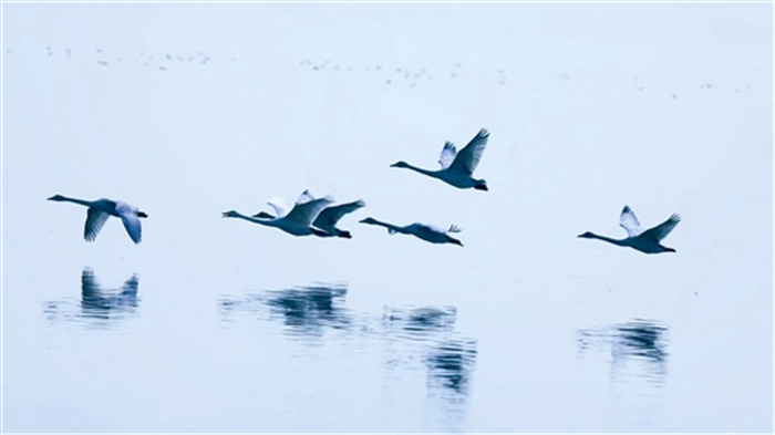 rent4b46_b.jpg rent4b46_b.jpg