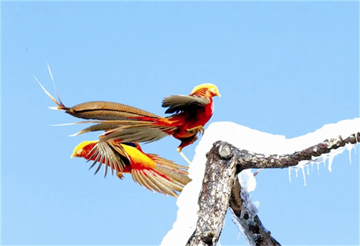 xiazh4b144_b.jpg xiazh4b144_b.jpg