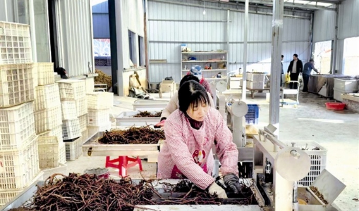 liujh4c135_b.jpg liujh4c135_b.jpg