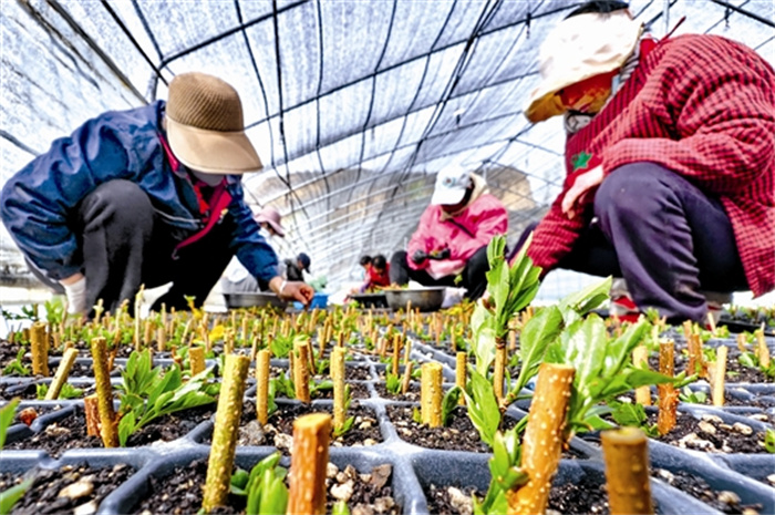 liucn545_b.jpg liucn545_b.jpg