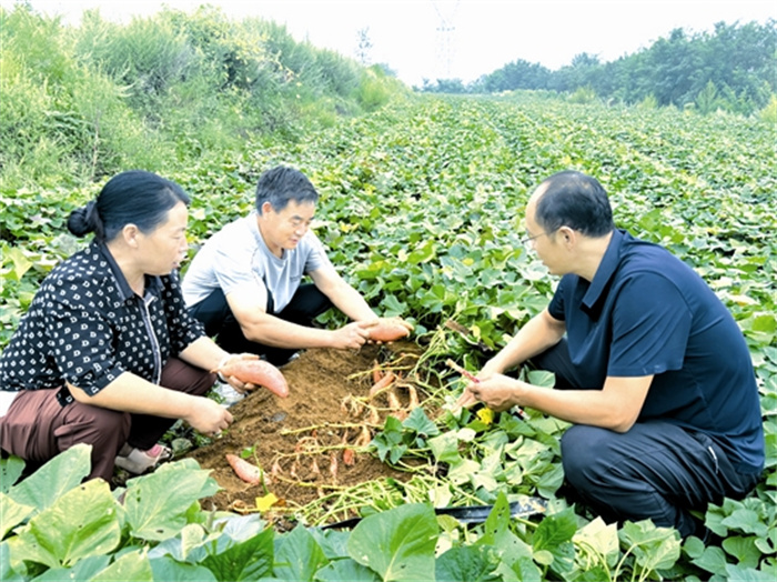 wangyw5a56_b.jpg wangyw5a56_b.jpg