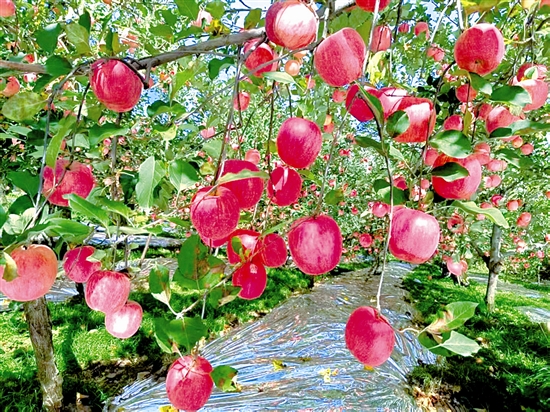 fangmy5a181_b.jpg fangmy5a181_b.jpg