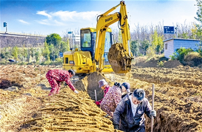 wangyw5b184_b.jpg