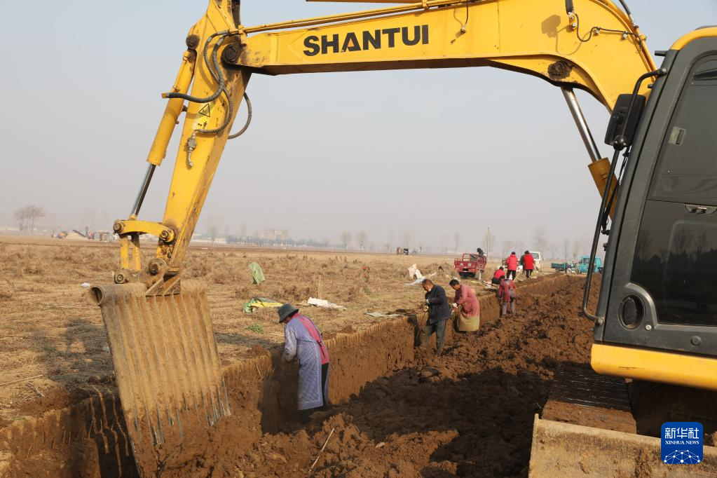 河南温县：铁棍山药产业助农增收