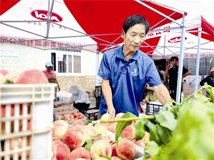 脆甜“红不软” 引来八方客